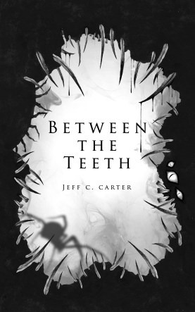 BetweentheTeethCover